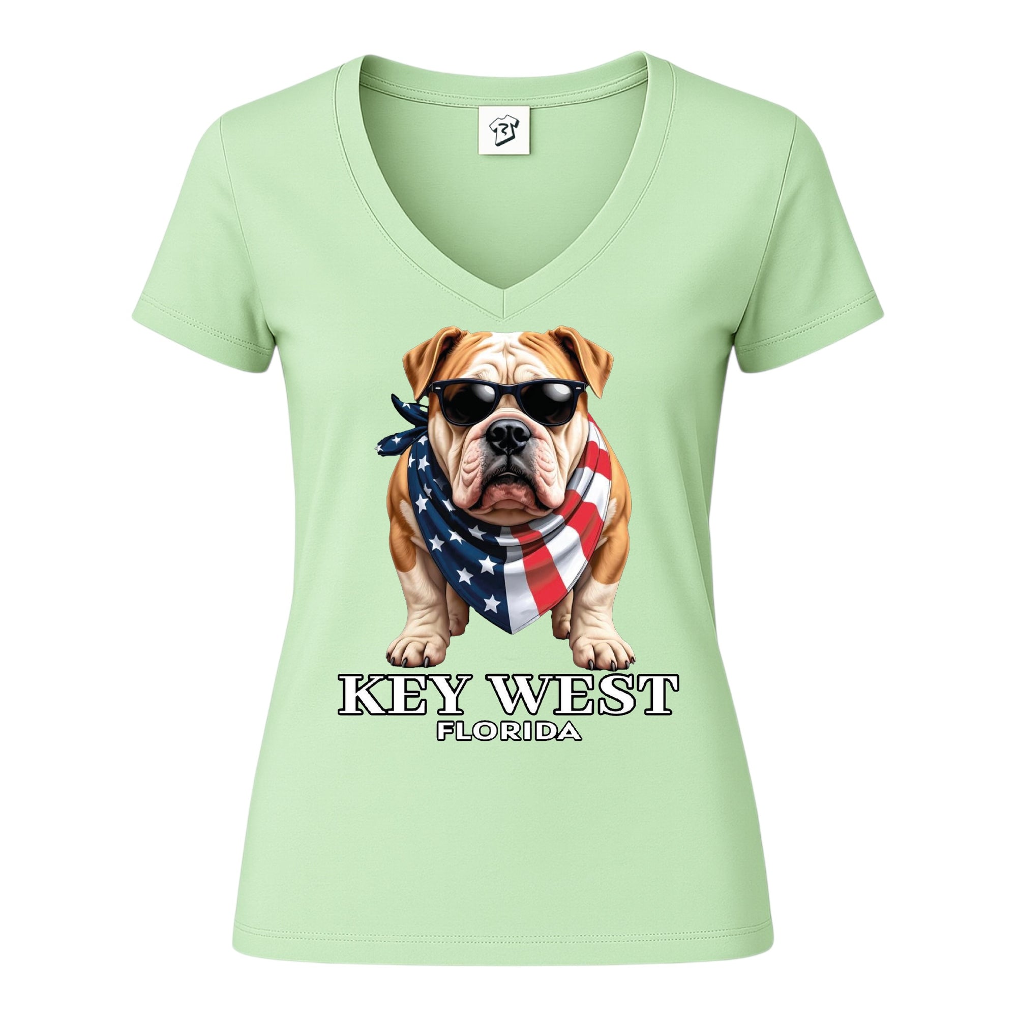 Tees Club v-neck t-shirt Bulldog KW - V-Neck Tee Black Size XS front view