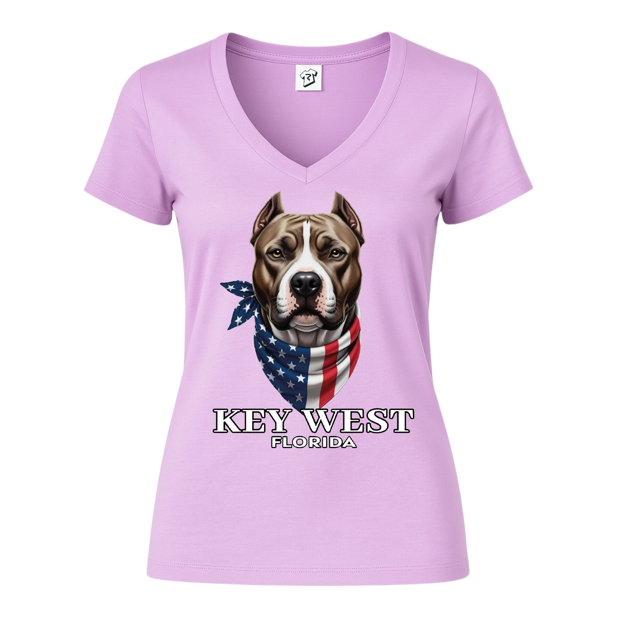 Tees Club v-neck t-shirt Pitbull KW - V-Neck Tee Black Size XS back view