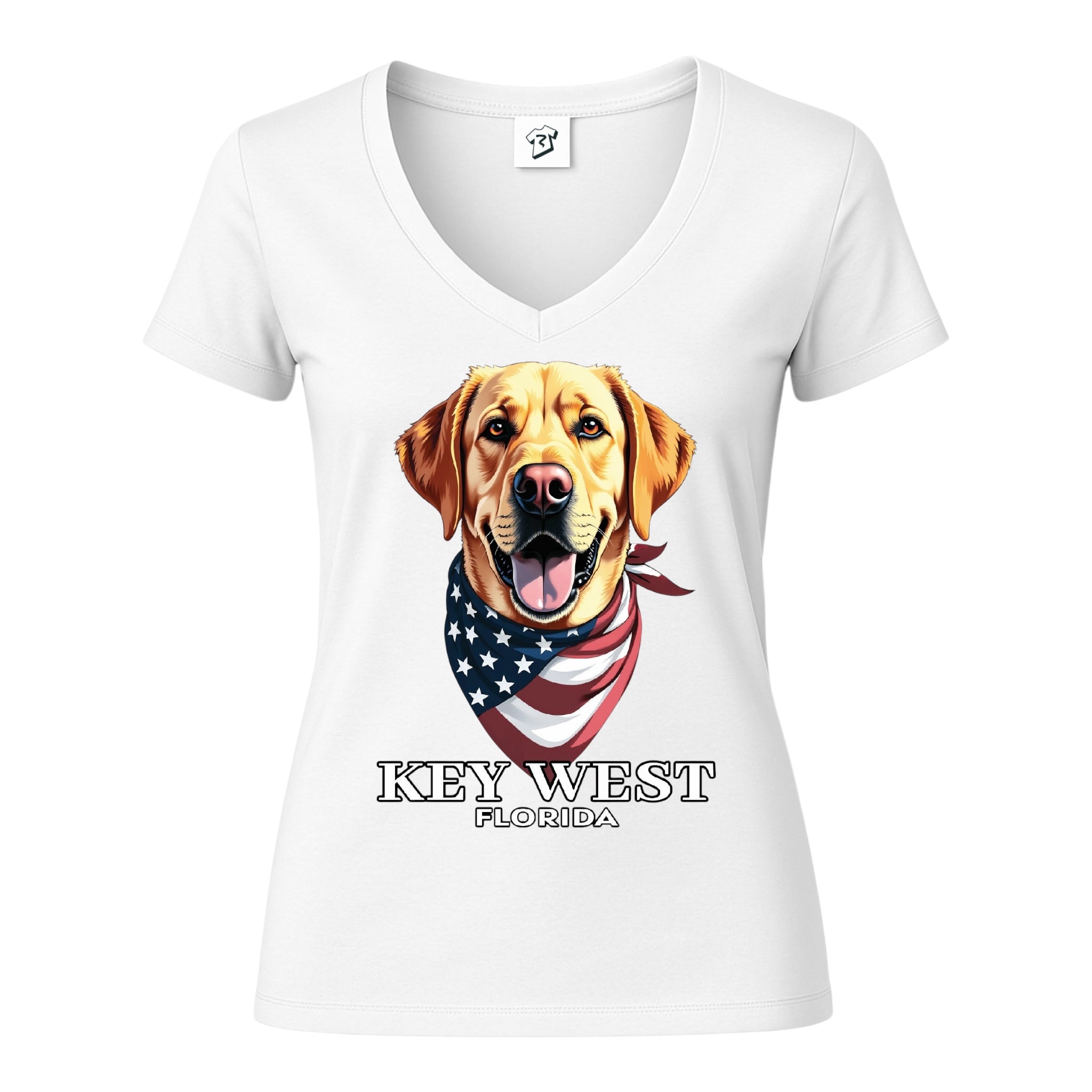 Tees Club v-neck t-shirt Golden Retriever KW - V-Neck Tee Black Size XS front view