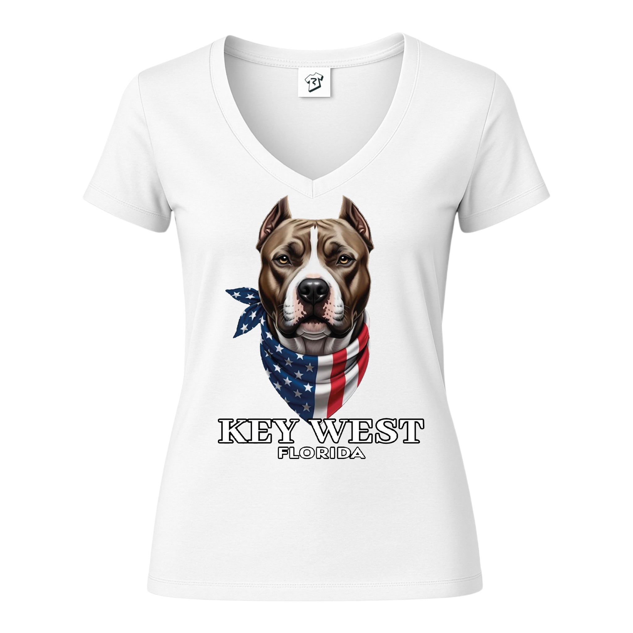 Tees Club v-neck t-shirt Pitbull KW - V-Neck Tee Black Size S detail