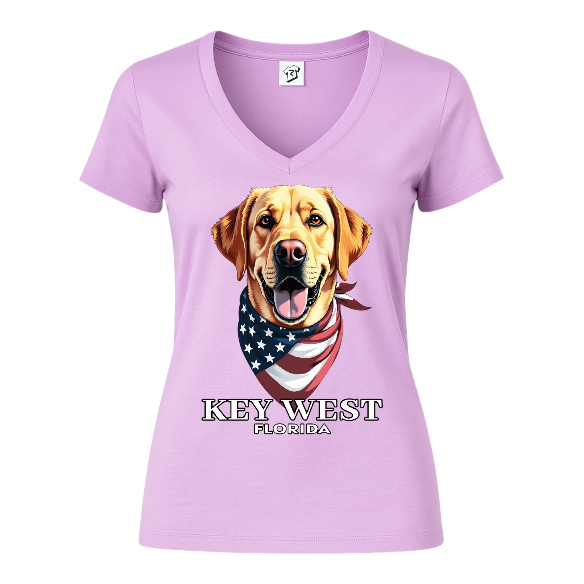 Tees Club v-neck t-shirt Golden Retriever KW - V-Neck Tee Black Size M detail