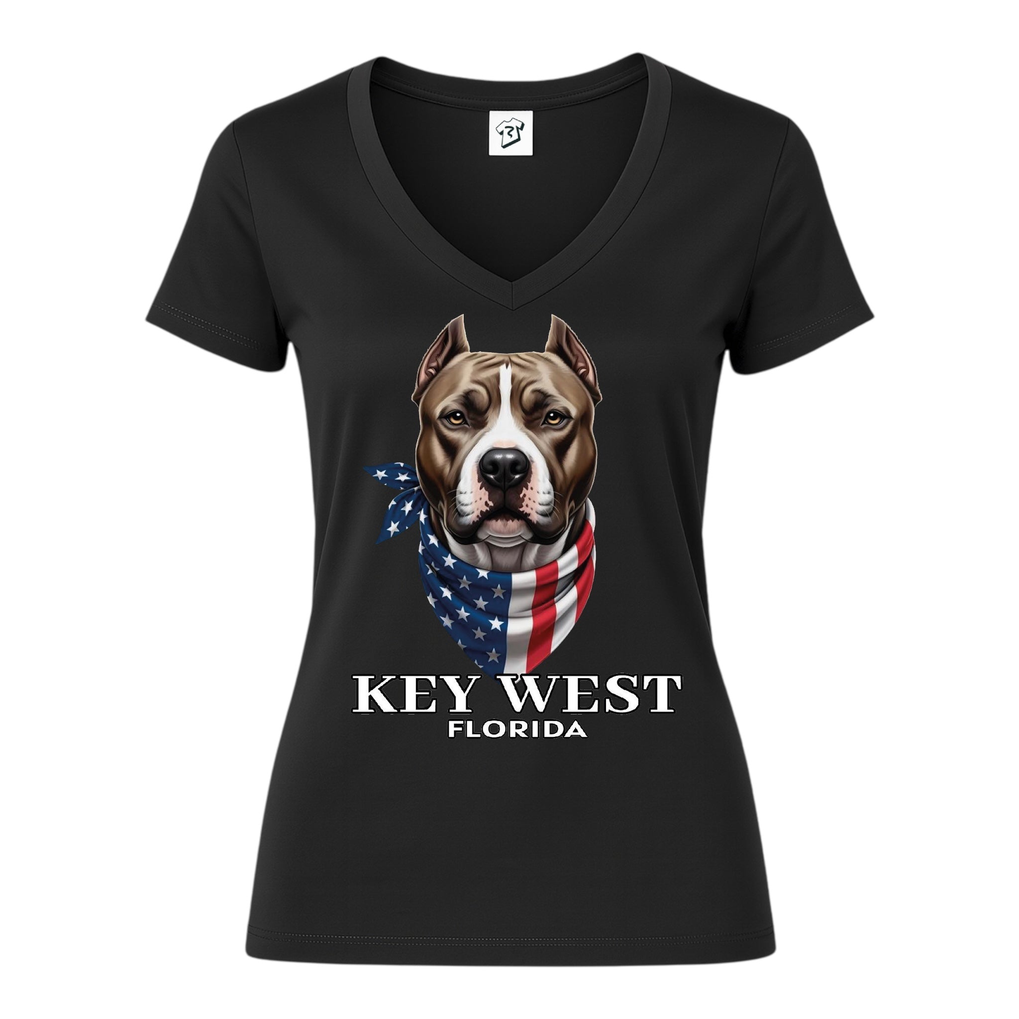 Tees Club v-neck t-shirt Pitbull KW - V-Neck Tee Black Size M detail