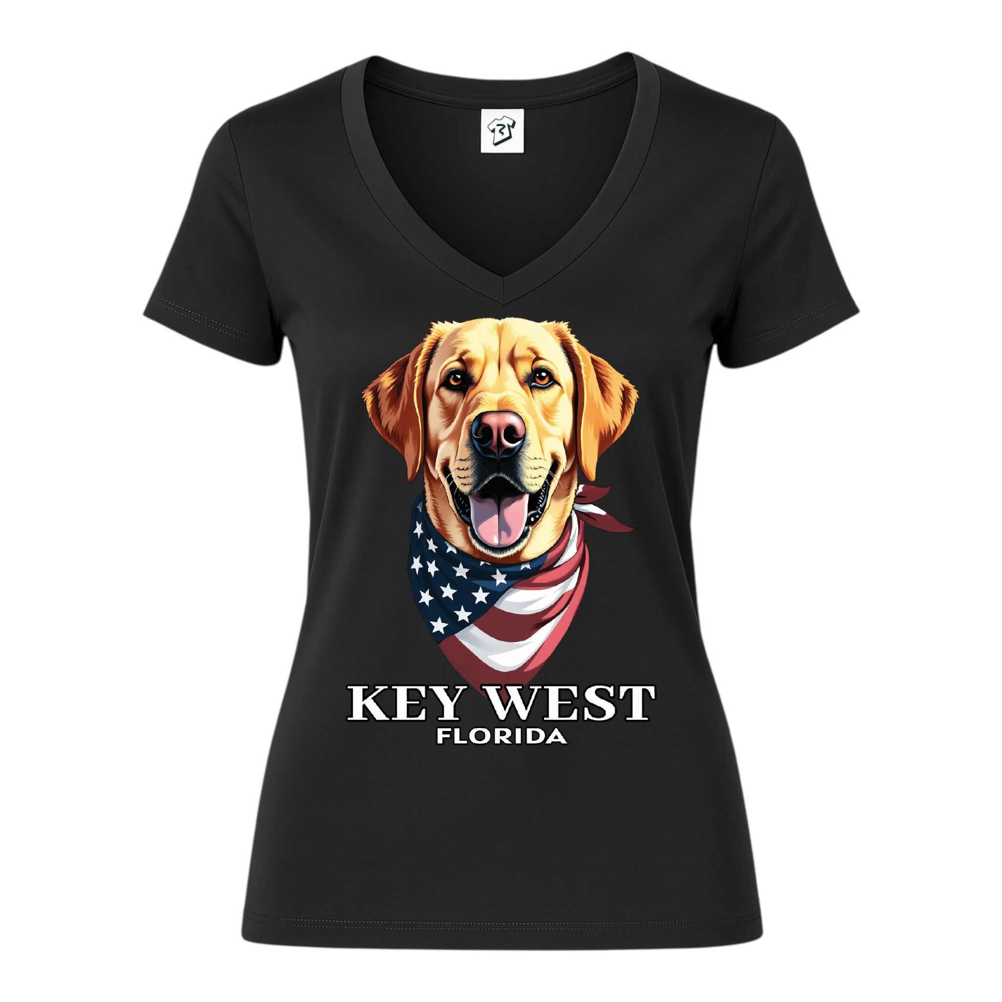 Tees Club v-neck t-shirt Golden Retriever KW - V-Neck Tee Black Size S detail