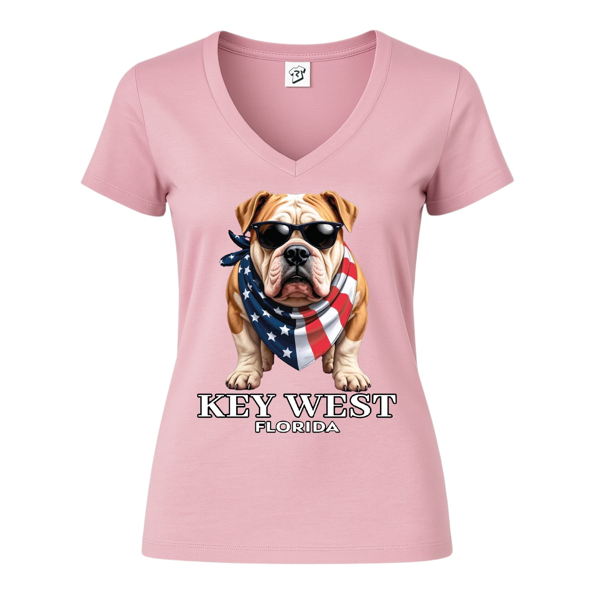 Tees Club v-neck t-shirt Bulldog KW - V-Neck Tee Black Size XS back view