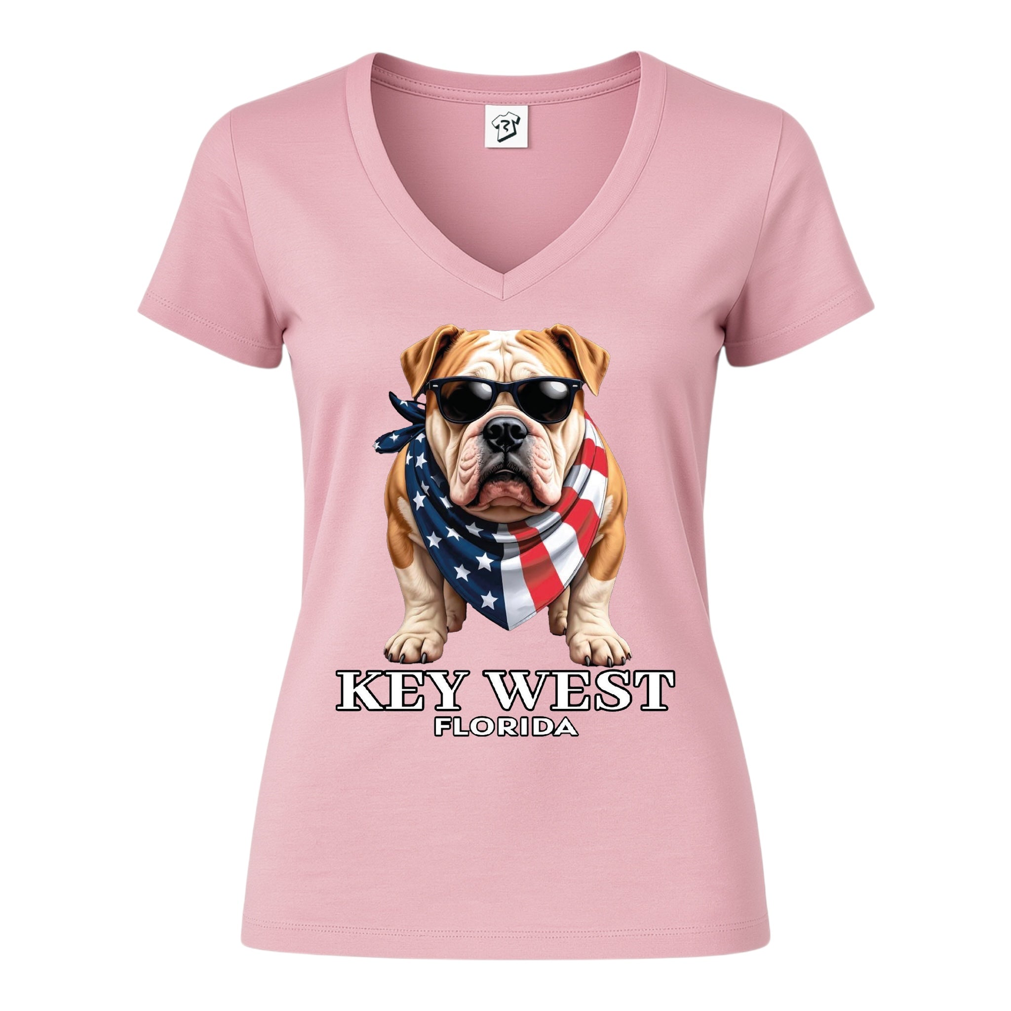 Tees Club v-neck t-shirt Bulldog KW - V-Neck Tee Black Size XS back view