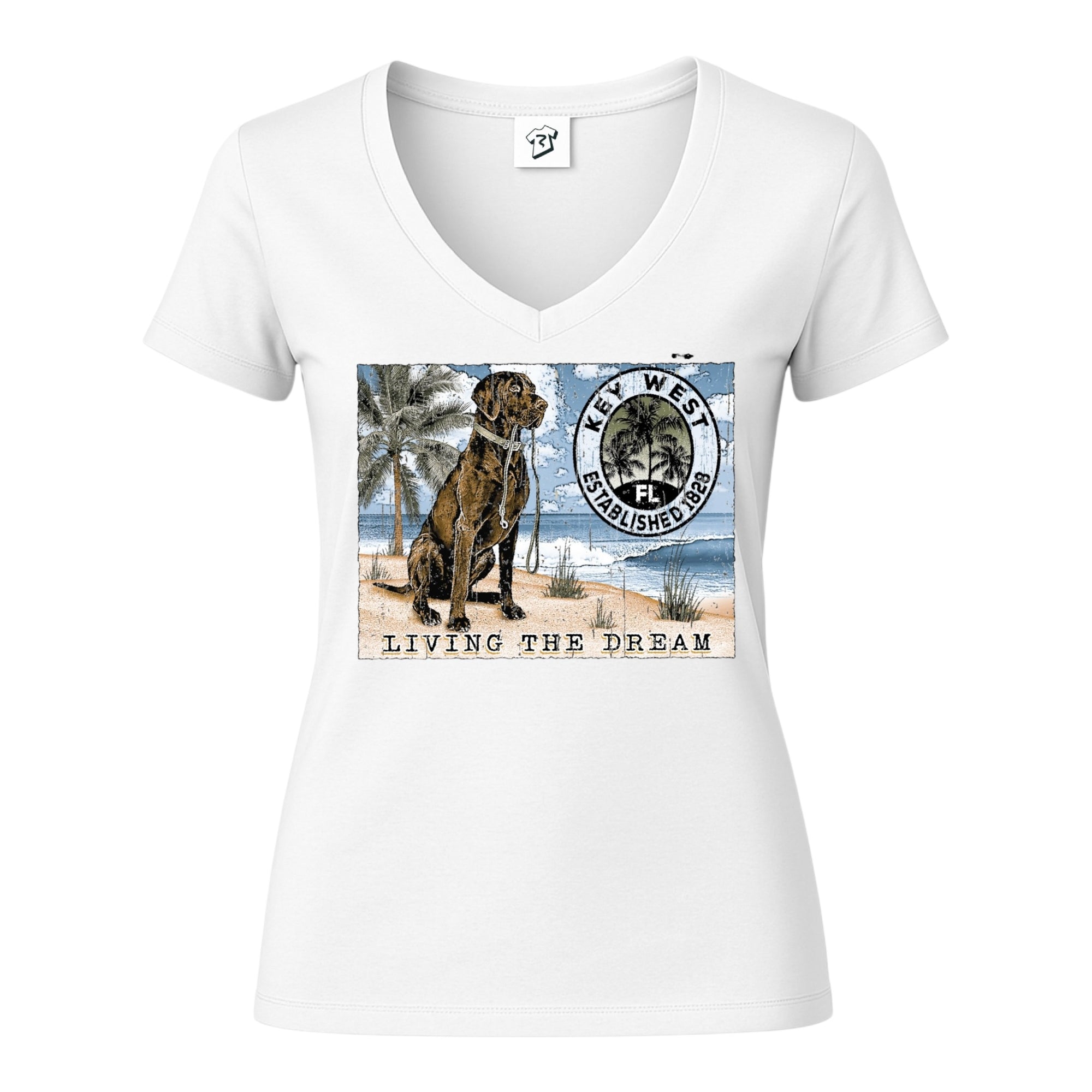 Tees Club v-neck t-shirt Black Lab Dog KW - V-Neck Tee Black Size XS back view