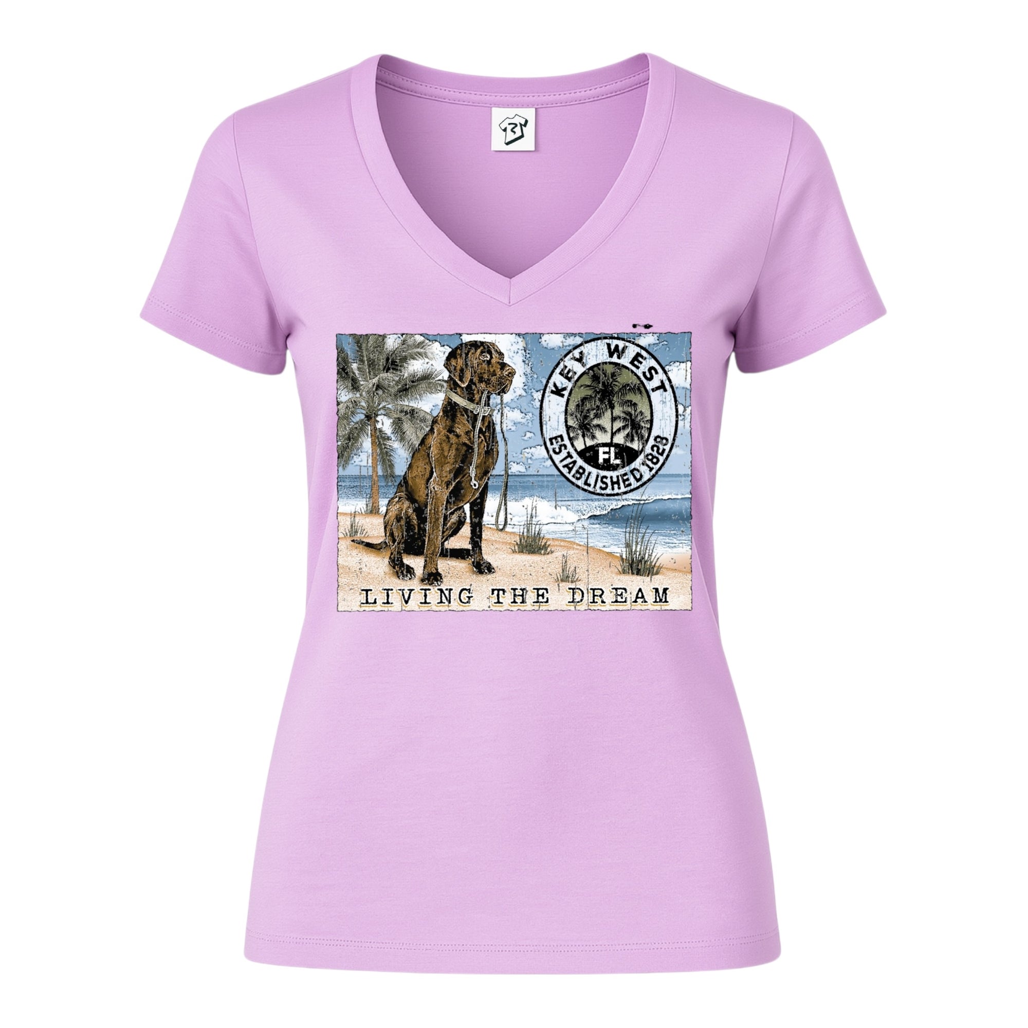 Tees Club v-neck t-shirt Black Lab Dog KW - V-Neck Tee Black Size XS front view