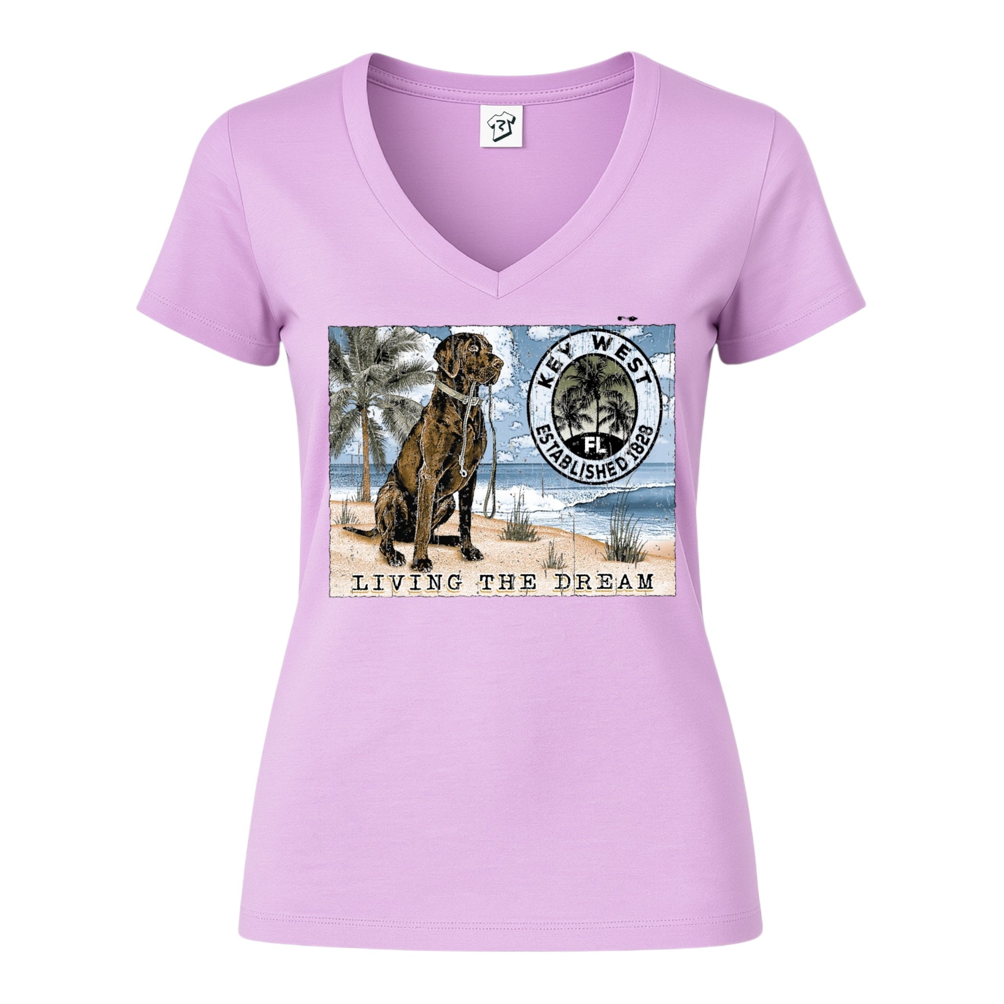 Tees Club v-neck t-shirt Black Lab Dog KW - V-Neck Tee Black Size XS front view