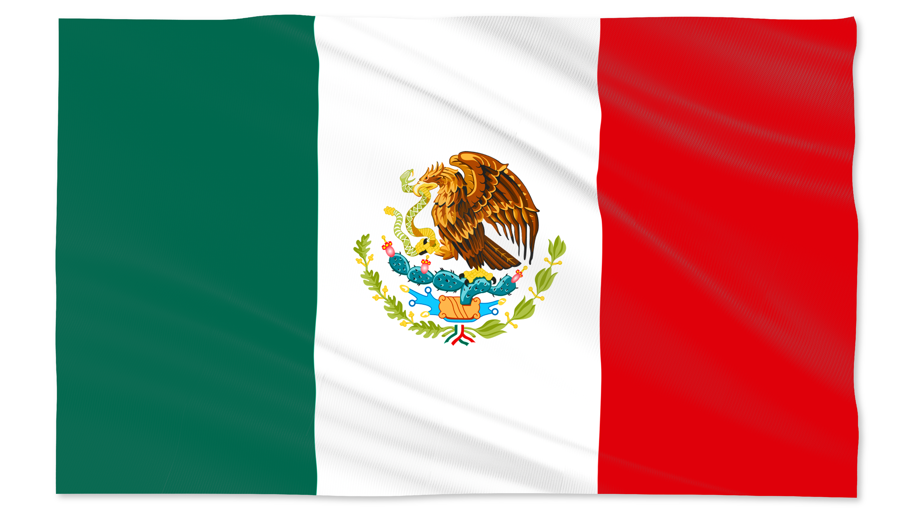 Tees Club graphic tee Mexico Flag (3'x 5') detail