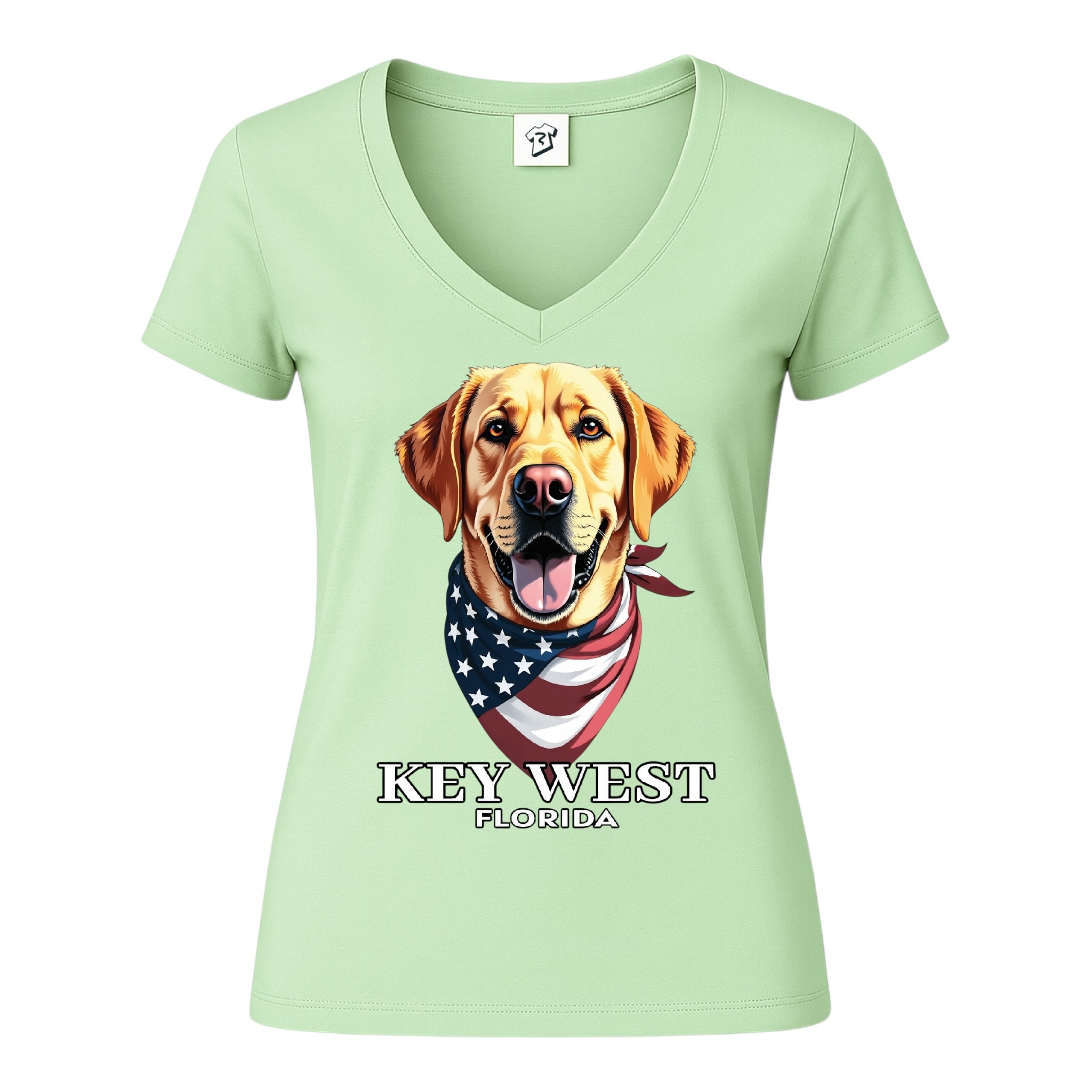 Tees Club v-neck t-shirt Golden Retriever KW - V-Neck Tee Black Size XS back view