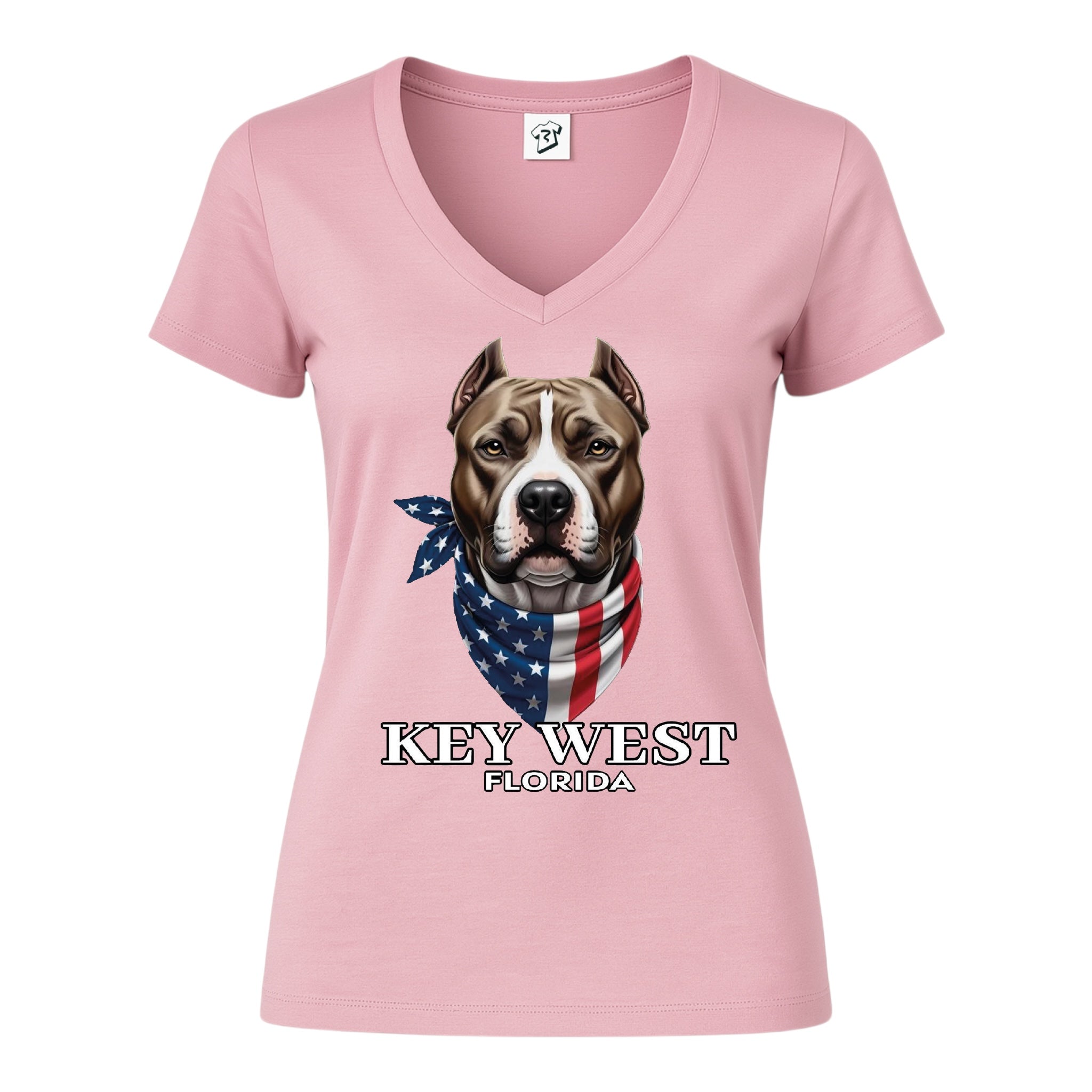 Tees Club v-neck t-shirt Pitbull KW - V-Neck Tee Black Size XS front view