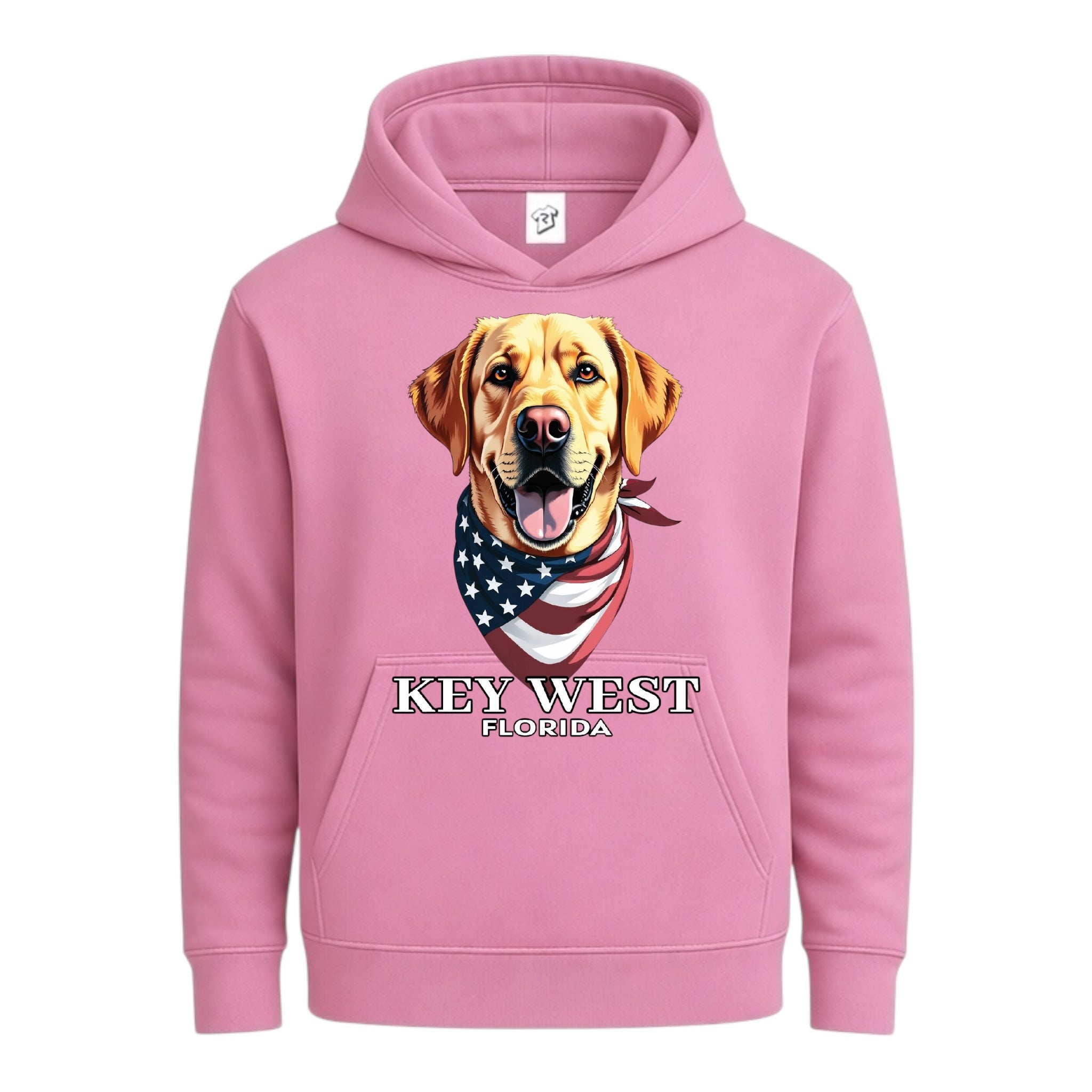 Tees Club streetwear hoodie Golden Retriever KW - Hoodie Navy Size S front view