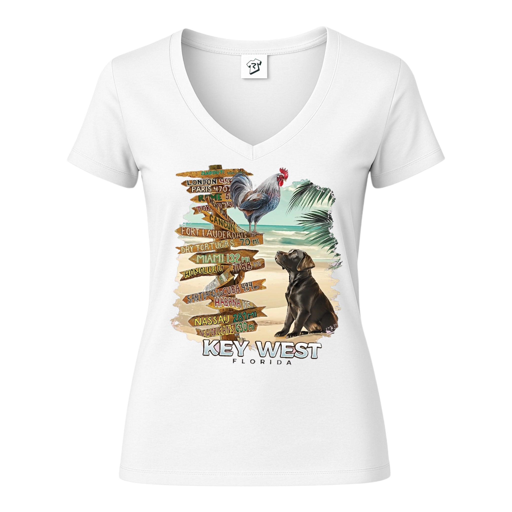 Tees Club v-neck t-shirt Dog and Rooster KW - V-Neck Tee Black Size XS back view