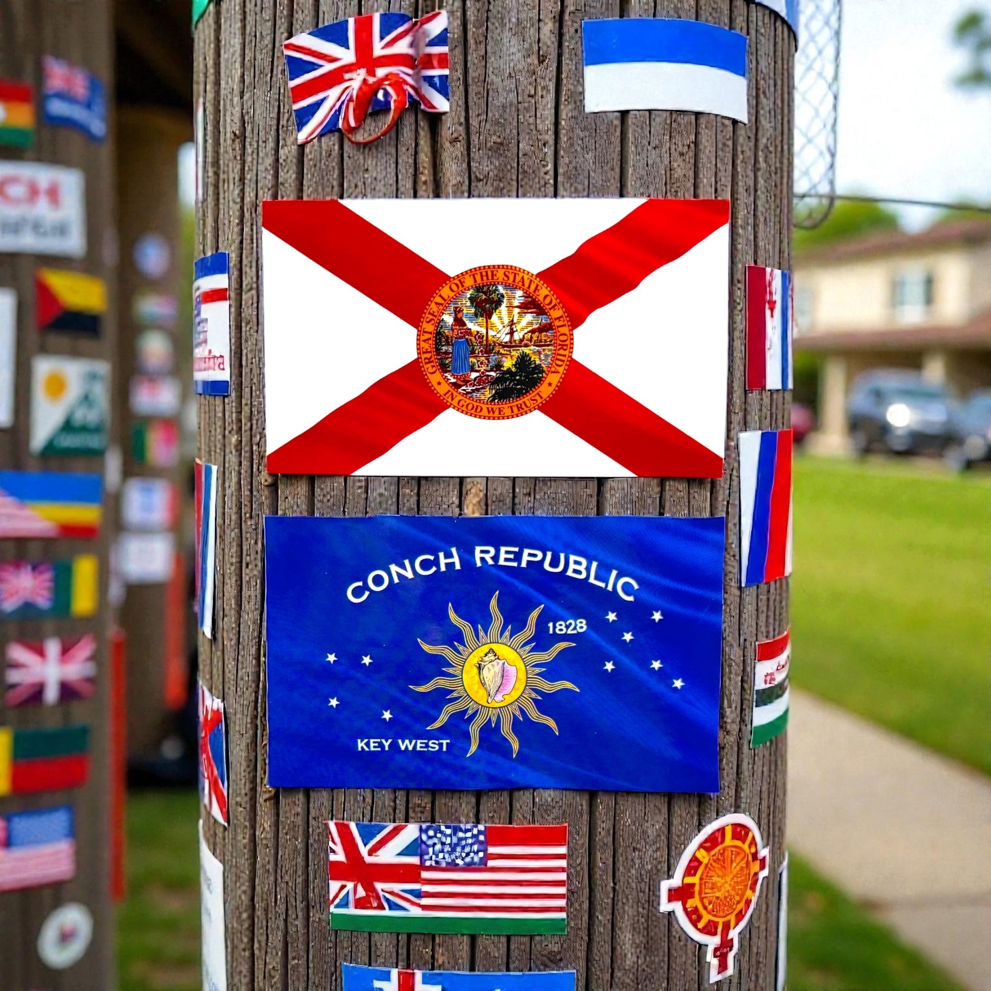 Tees Club vinyl sticker pack Florida Flag Pack - Stickers (4" x 3") X3 pack back view