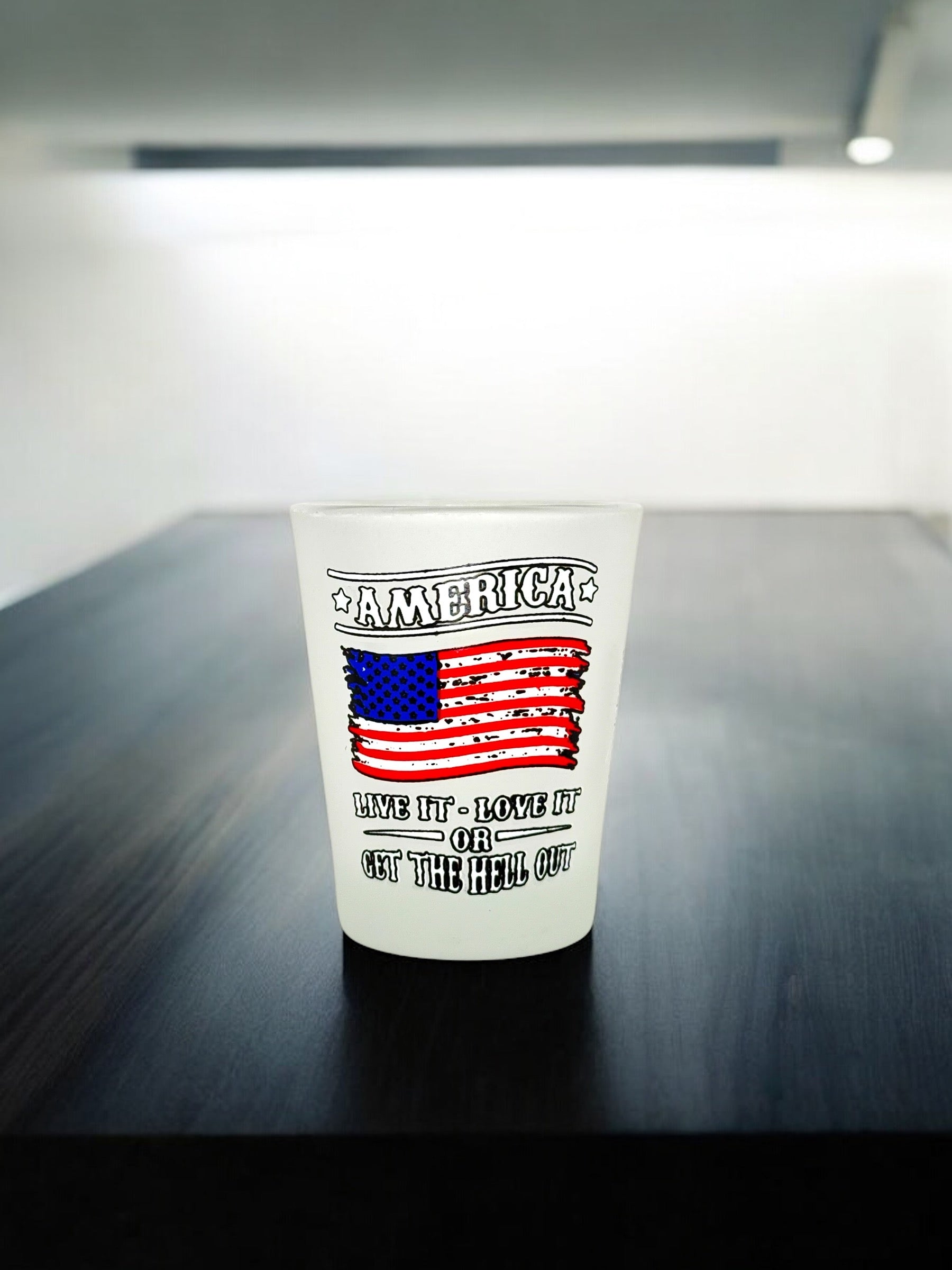 "America Live it, Love it or Get the Hell Out" Funny Shot Glass