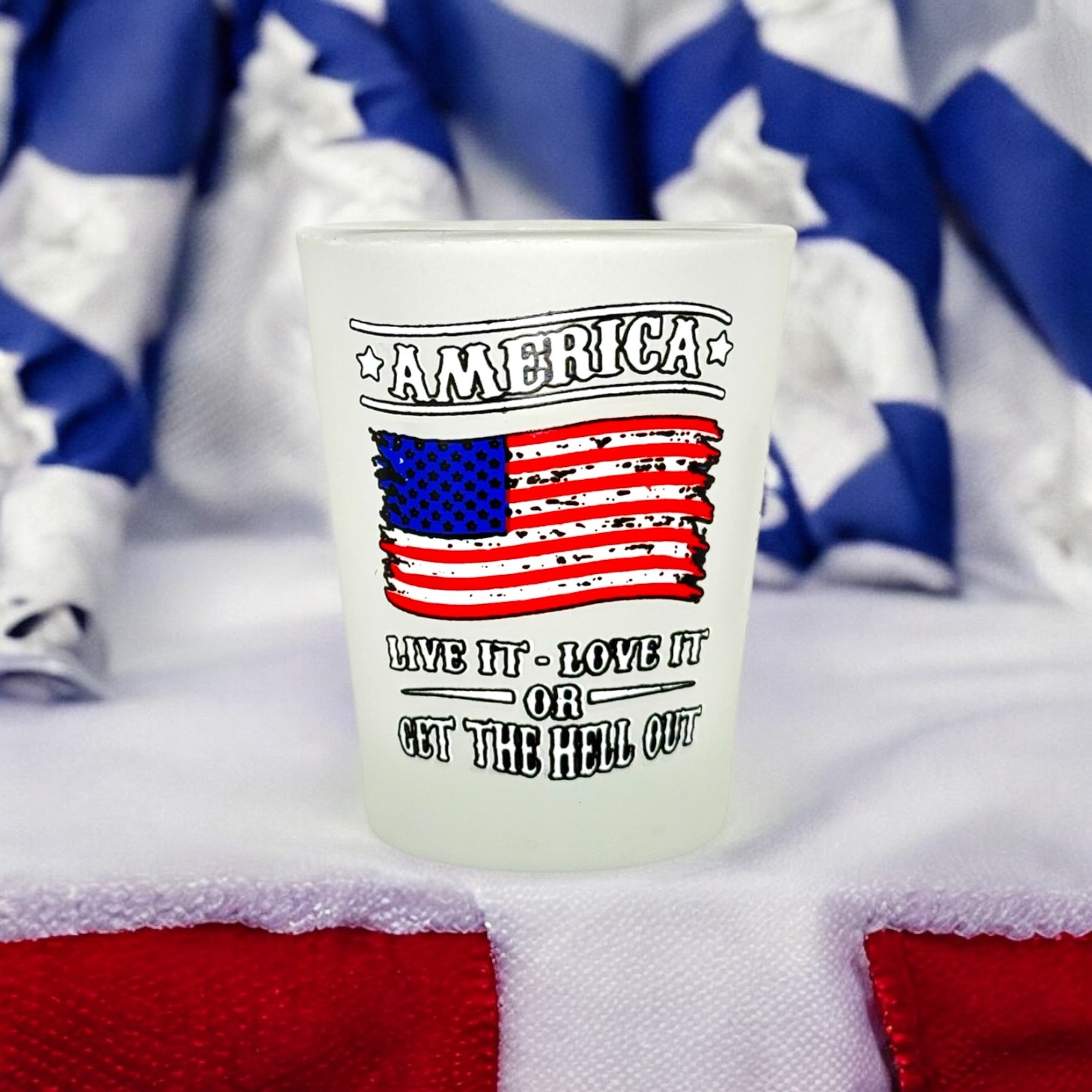 "America Live it, Love it or Get the Hell Out" Funny Shot Glass