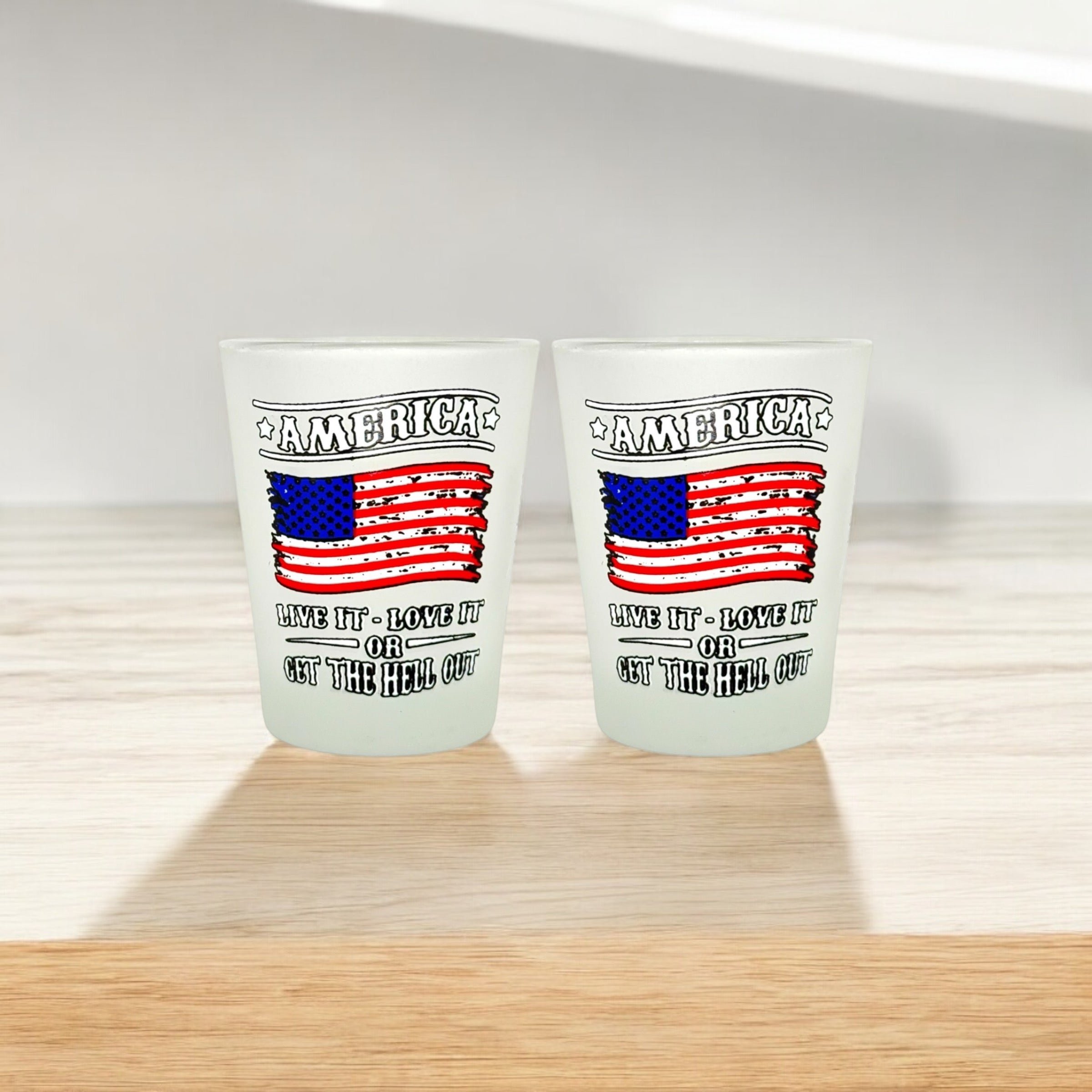"America Live it, Love it or Get the Hell Out" Funny Shot Glass