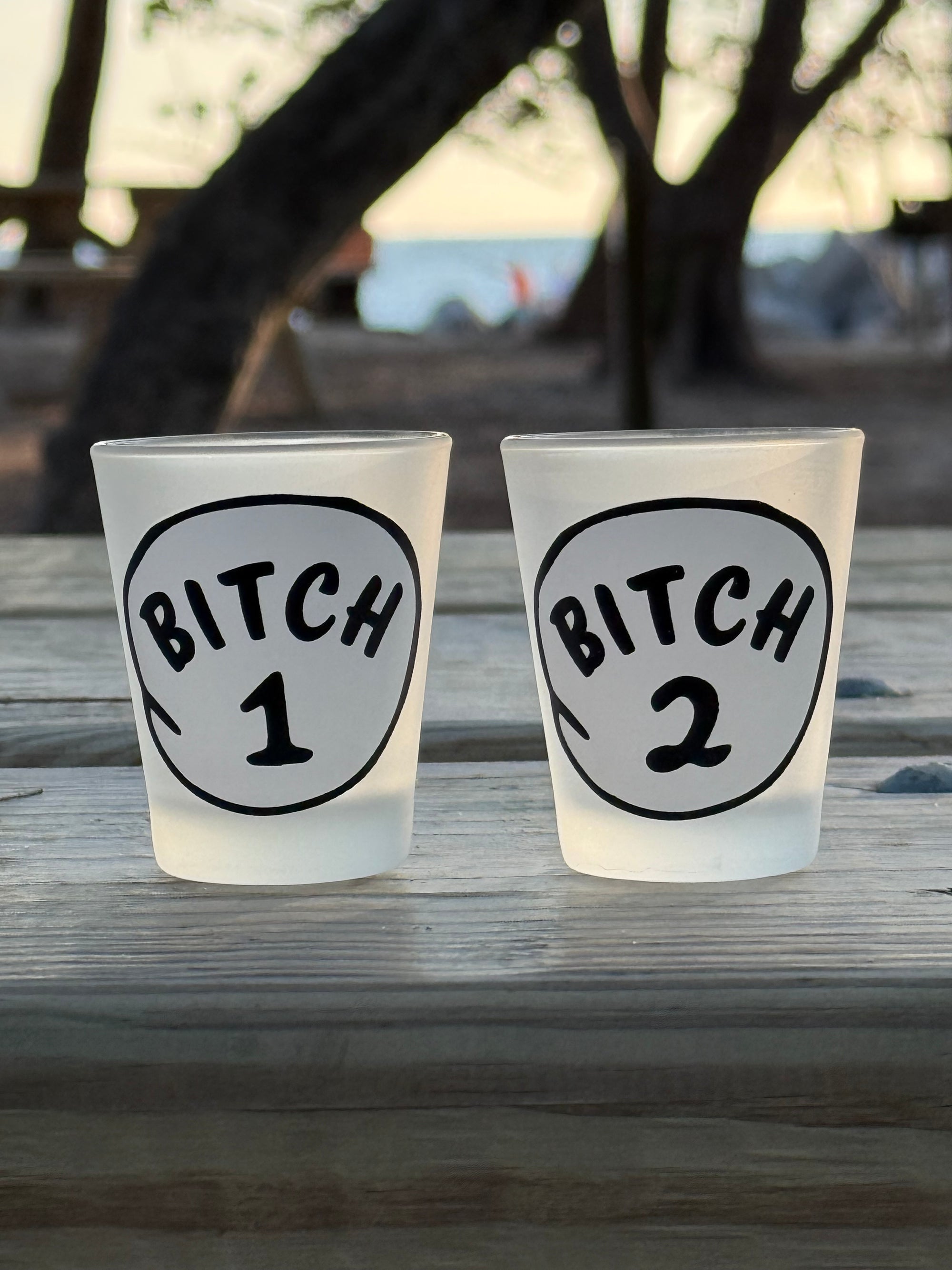 "Bitch 1-2" Funny Shot Glasses