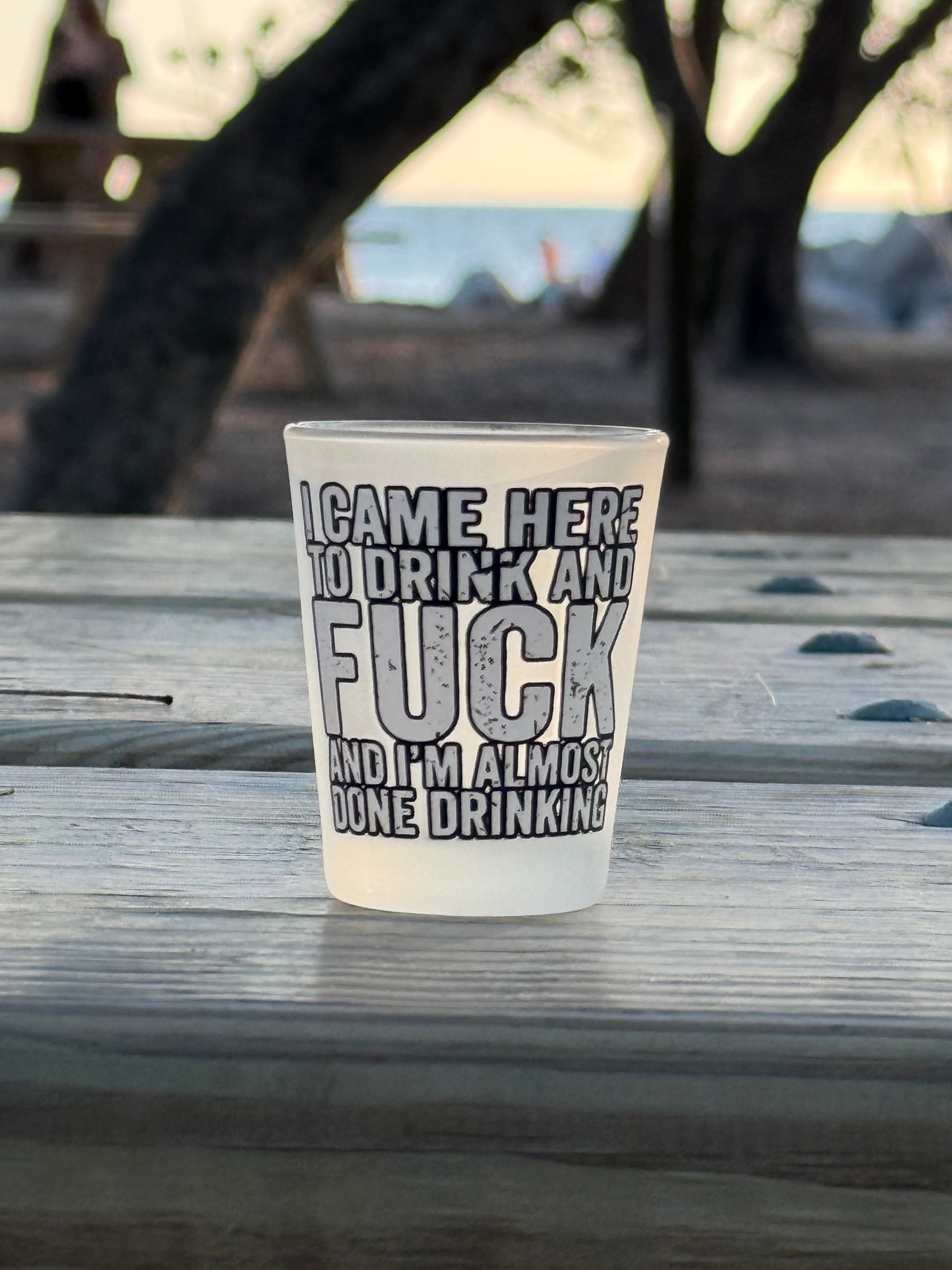 "I Came Here to Drink and Fuck and I'm Almost Done Drinking" Funny Shot Glass