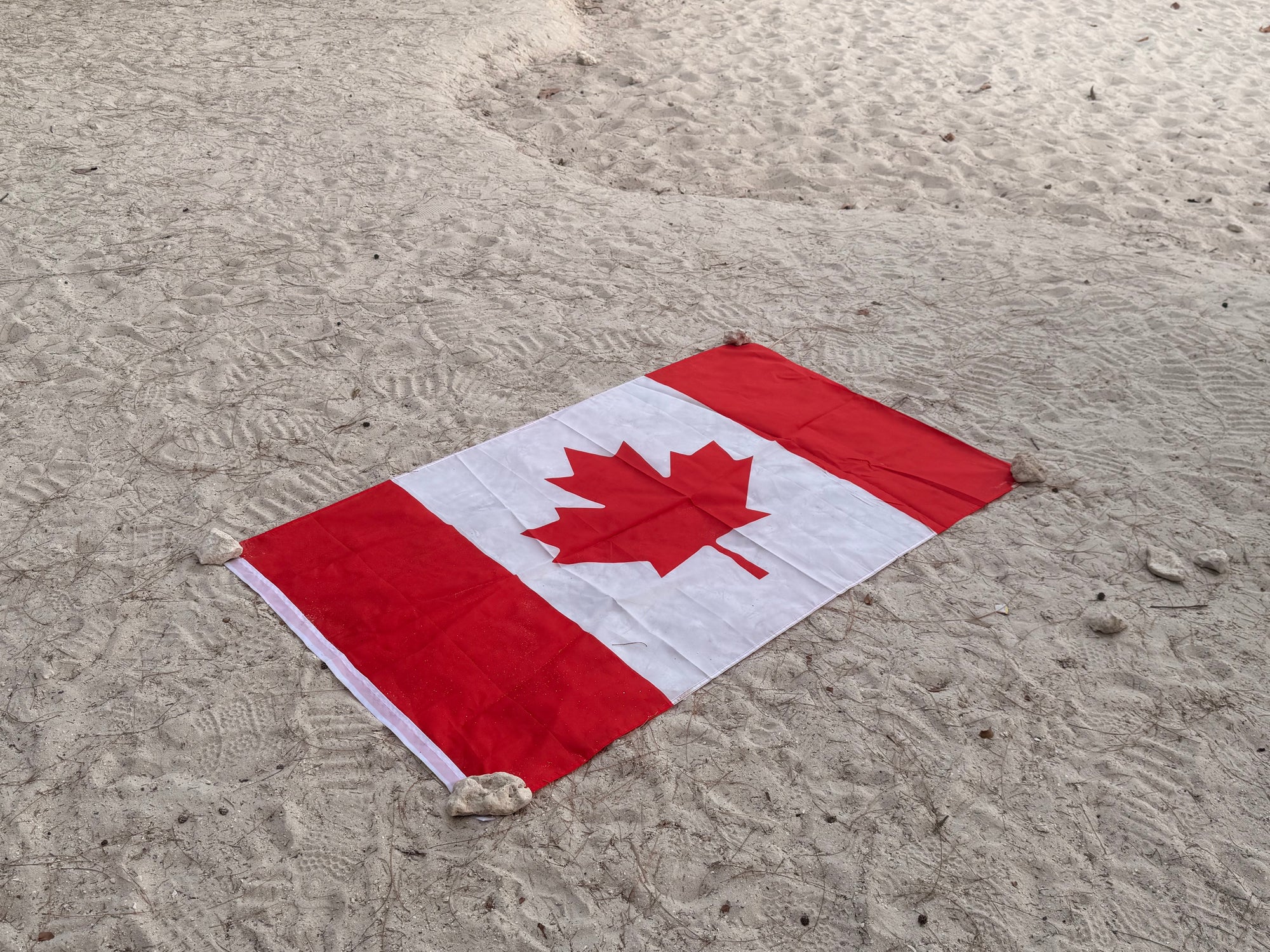 Tees Club baseball cap Canada Flag (3'x 5') back view