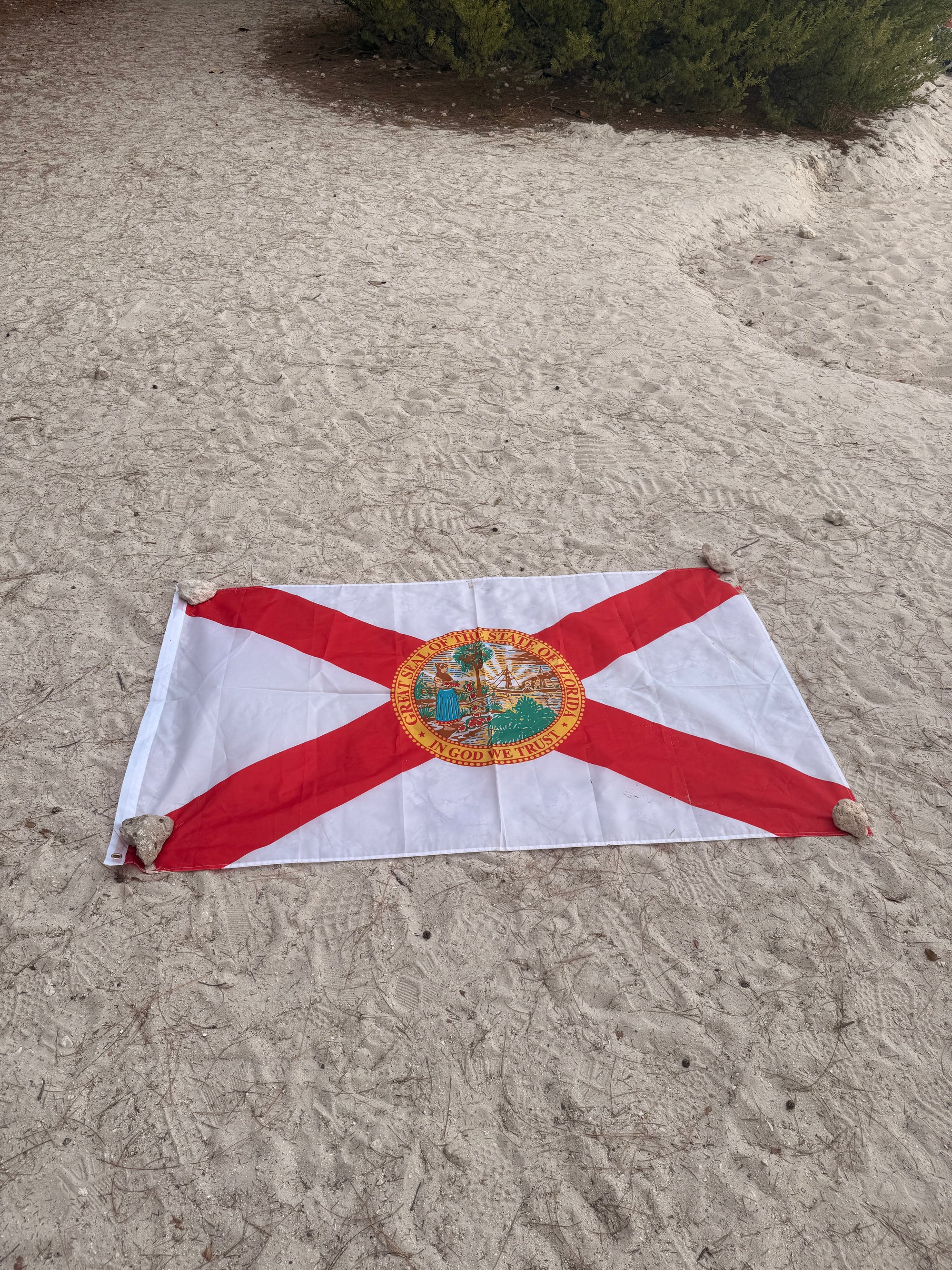 Tees Club baseball cap Florida State Flag (3'x5') back view