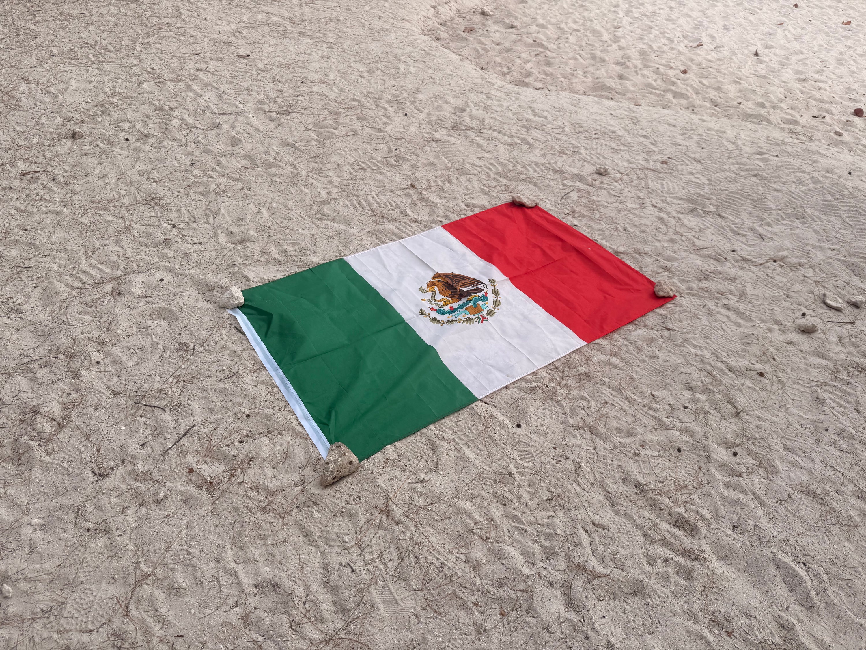 Tees Club graphic tee Mexico Flag (3'x 5') back view