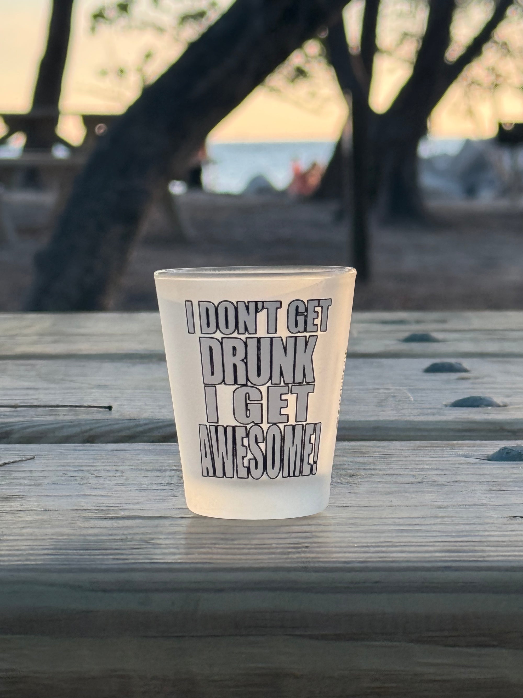 "I Don't Get Drunk I Get Awesome" Funny Shot Glass