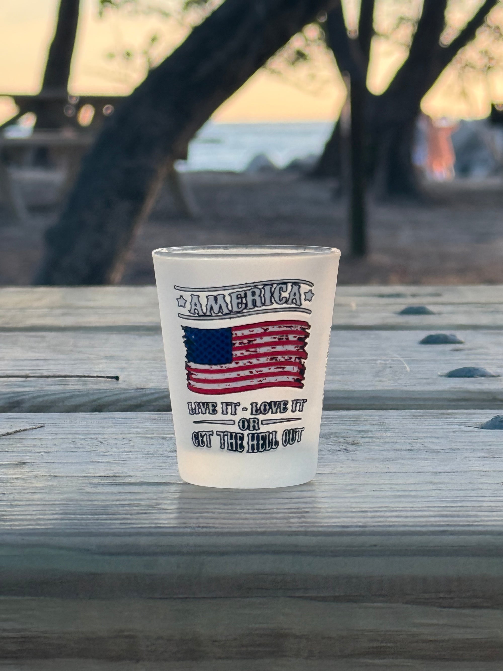 "America Live it, Love it or Get the Hell Out" Funny Shot Glass