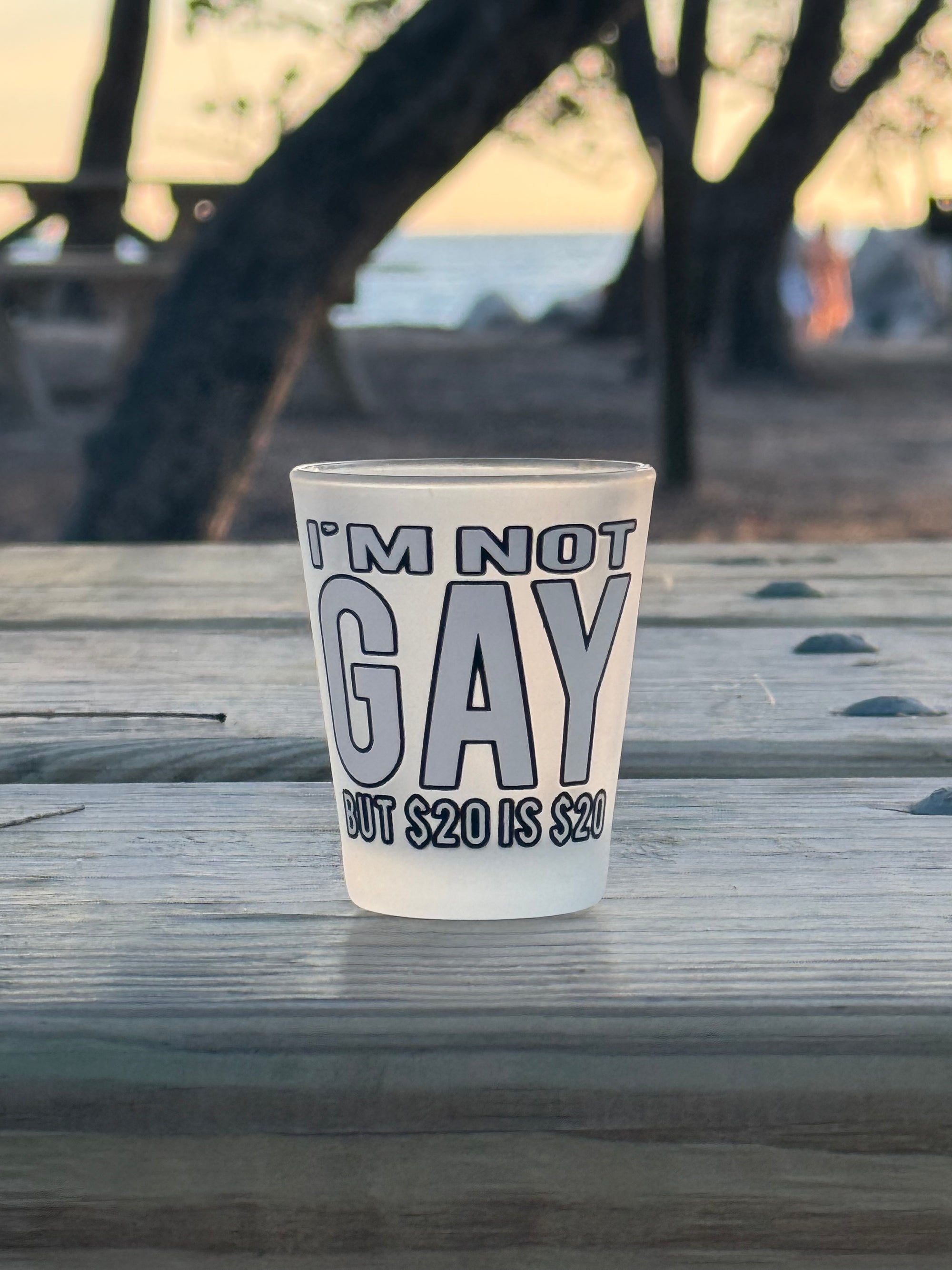"I'm Not Gay But $20 is $20" Funny Shot Glass