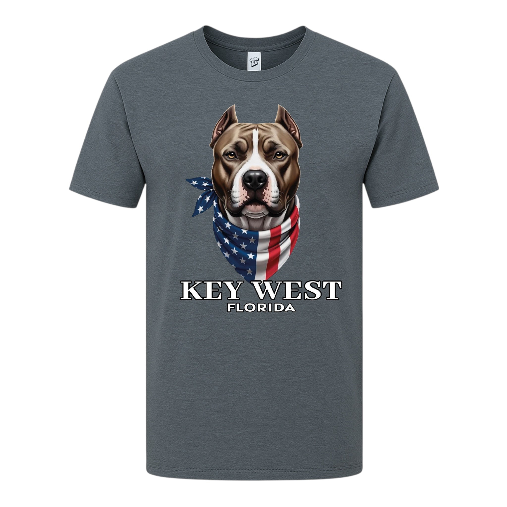 Tees Club graphic tee Pitbull KW - Premium Tee Black Size S front view