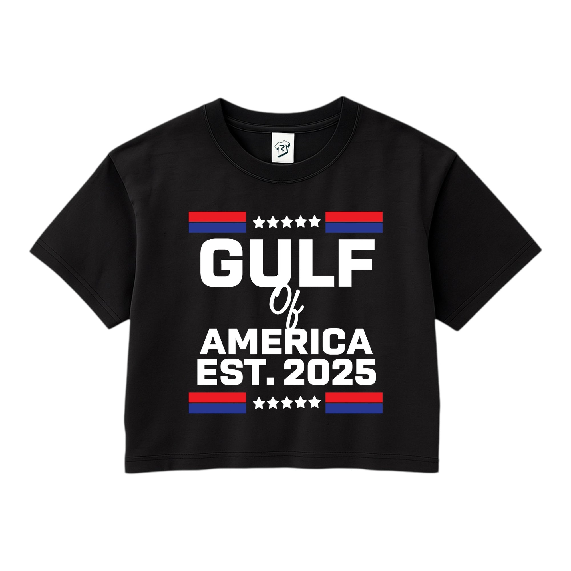 Tees Club crop top Gulf of America EST 2025 - Crop Top Black Size XS front view
