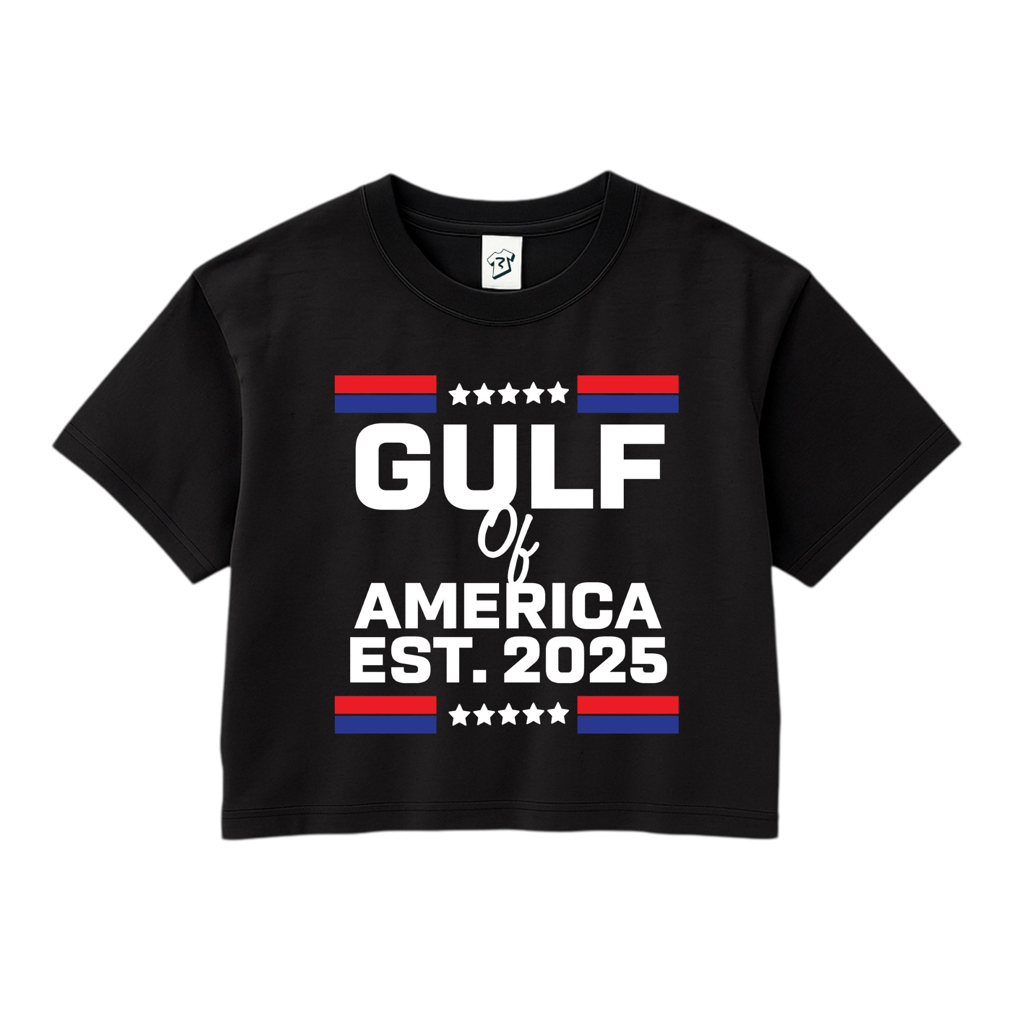 Tees Club crop top Gulf of America EST 2025 - Crop Top Black Size XS front view