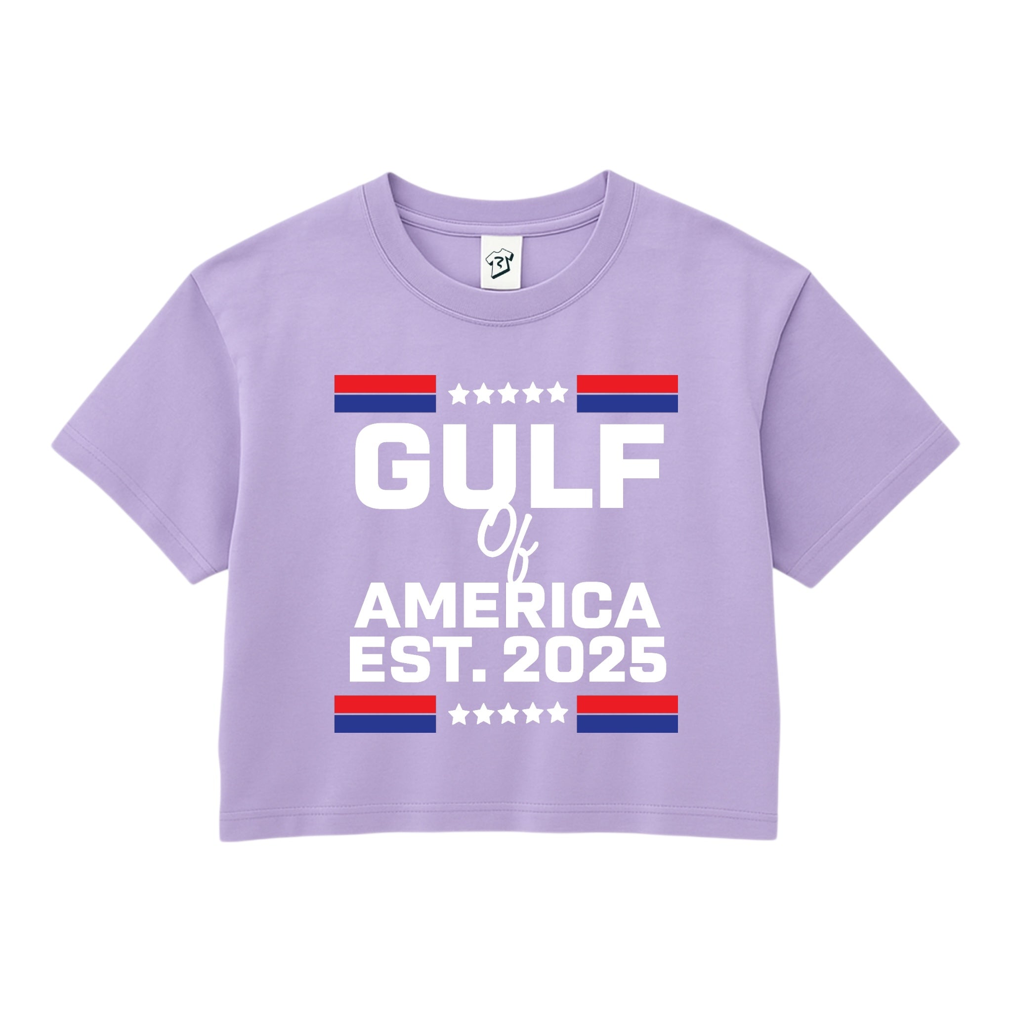 Tees Club crop top Gulf of America EST 2025 - Crop Top Black Size XS back view