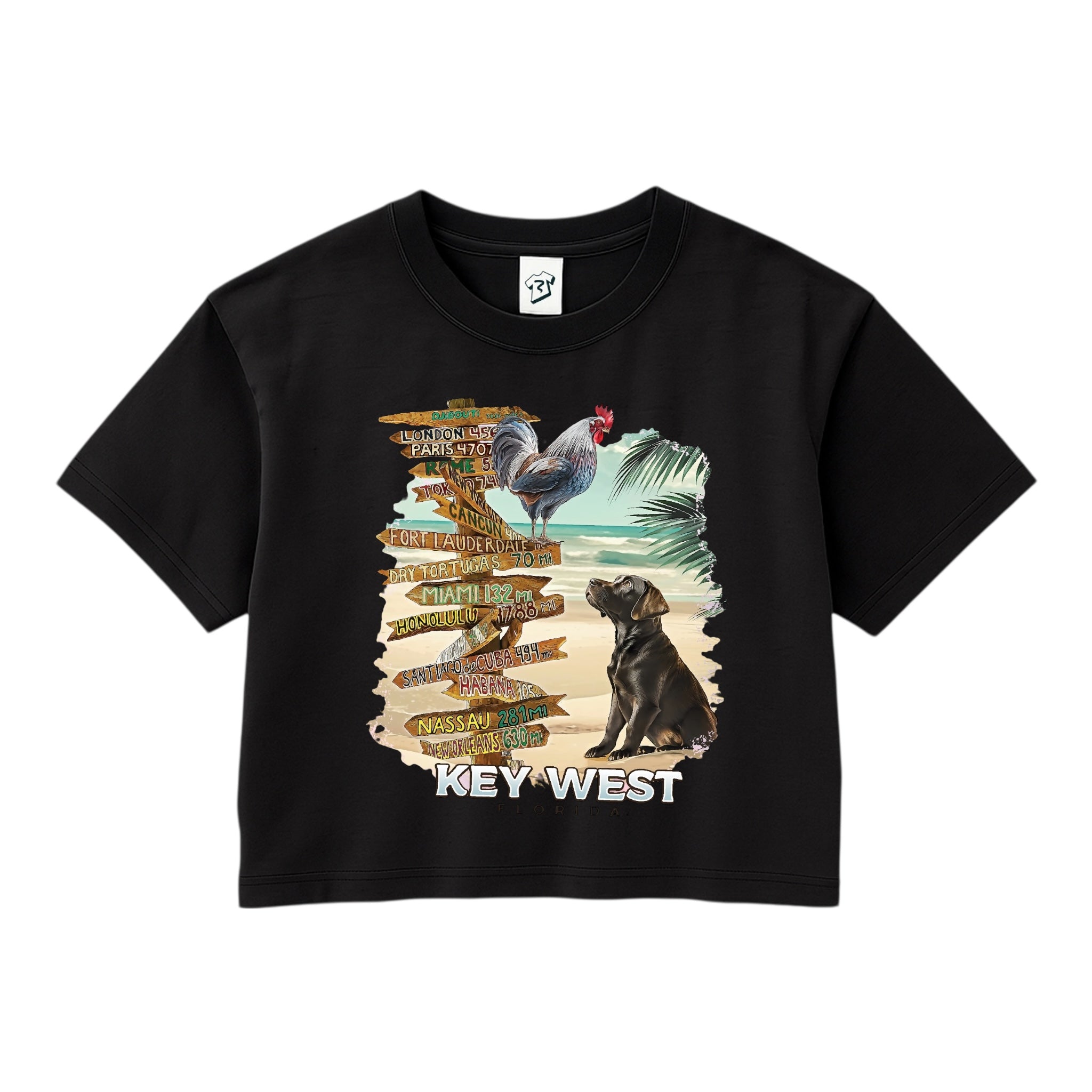 Tees Club crop top Dog and Rooster KW - Crop Top Black Size XS back view