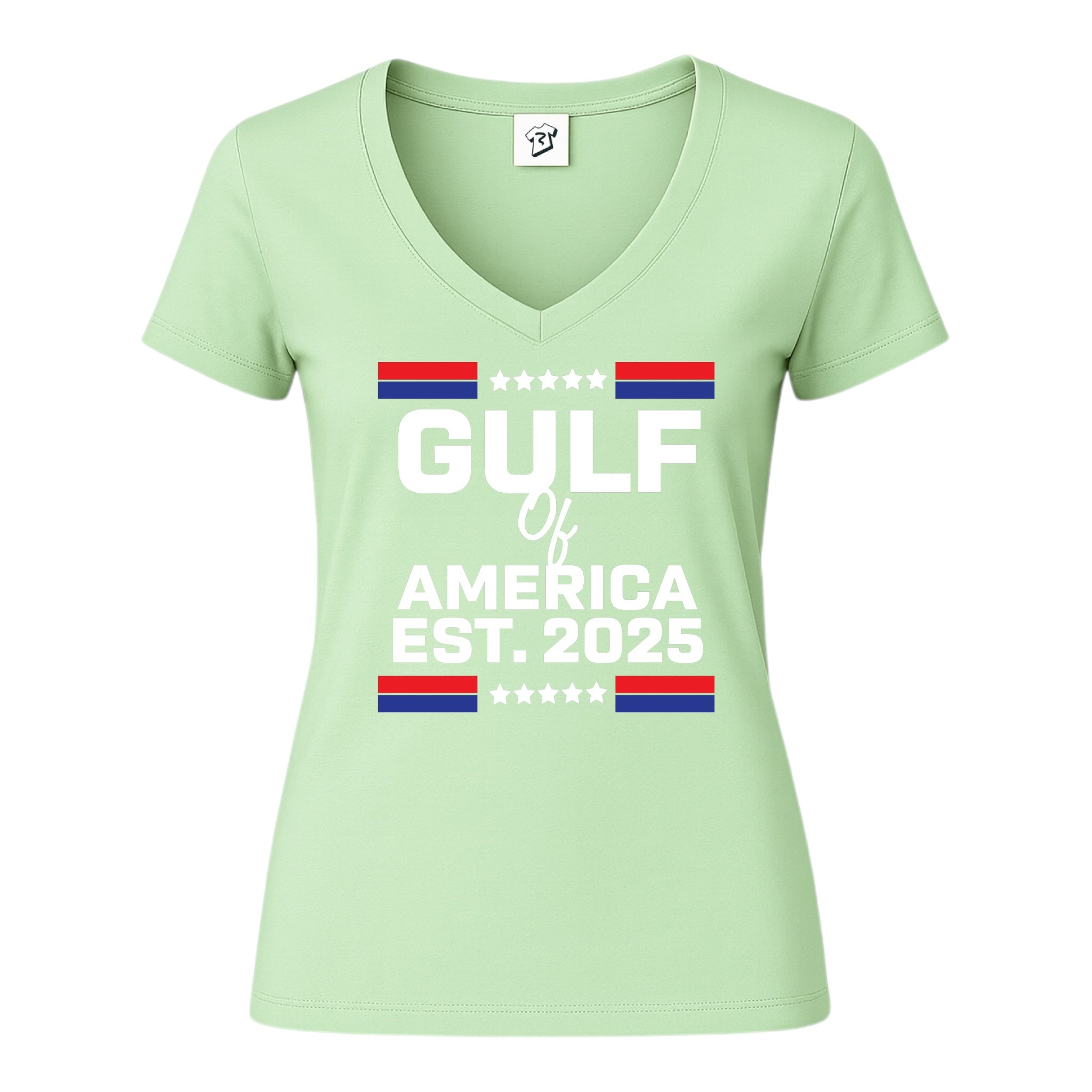 Tees Club v-neck t-shirt Gulf of America EST 2025 - V-Neck Tee Black Size XS back view